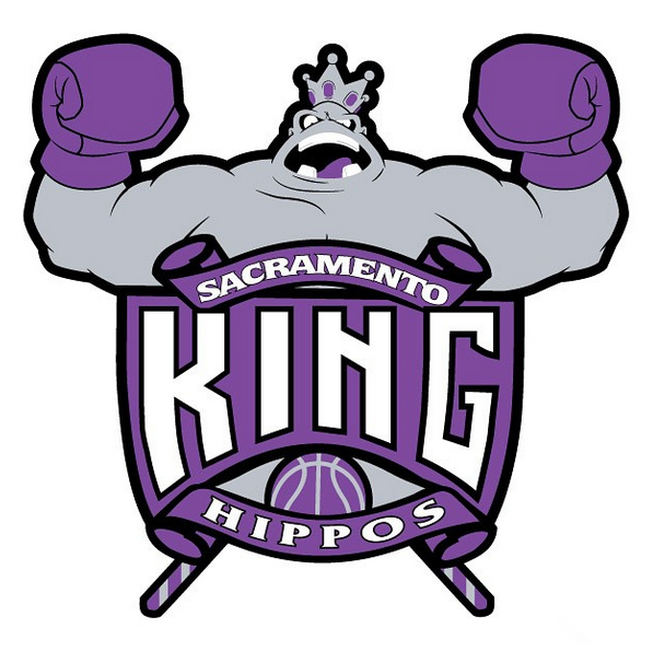 Sacramento King Hippos logo DIY iron on transfer (heat transfer)
